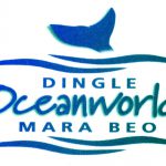 Dingle Maritime Festival 2020
