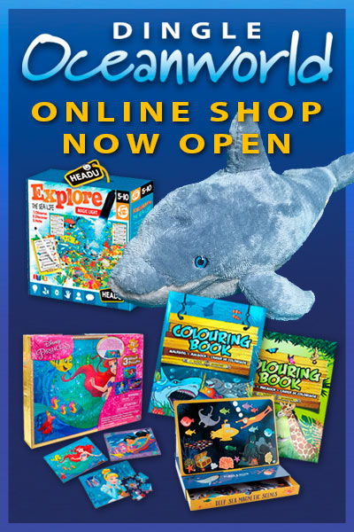 Dingle Oceanworld online shop