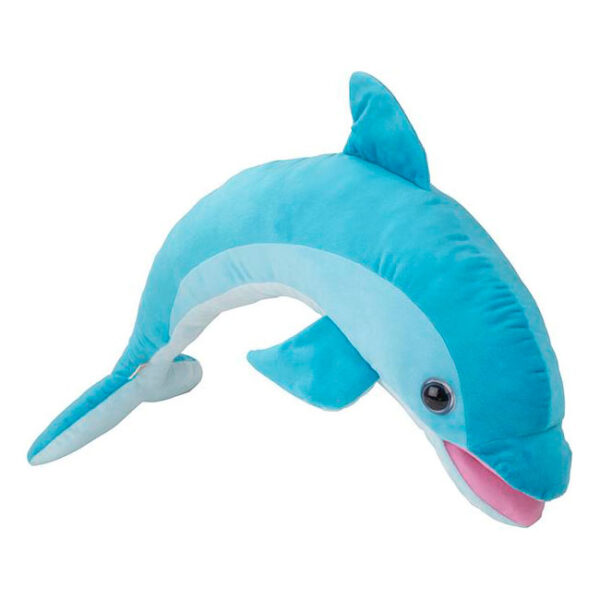 Splash Dolphin