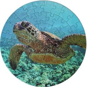 Turtle Jigsaw Puzzle – 56 Piece