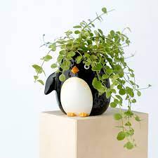 Huddle Ceramic Penguin Planter
