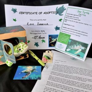 Molly the Turtle Adoption Pack