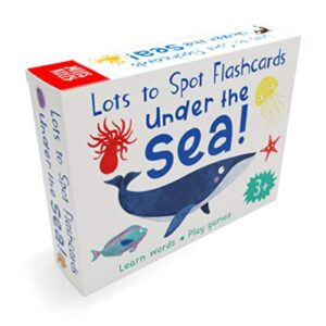 Lots to Spot Flashcards Under the Sea!