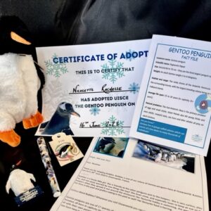 Penguin Adoption Pack