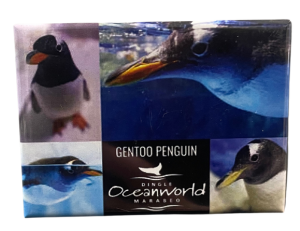 Magnet – Gentoo Penguin